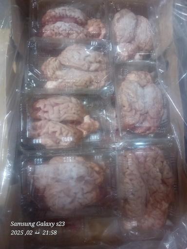 عکس پخش آلایشات گاوی و گوسفندی مهدی پور