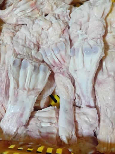 عکس پخش آلایشات گاوی و گوسفندی مهدی پور