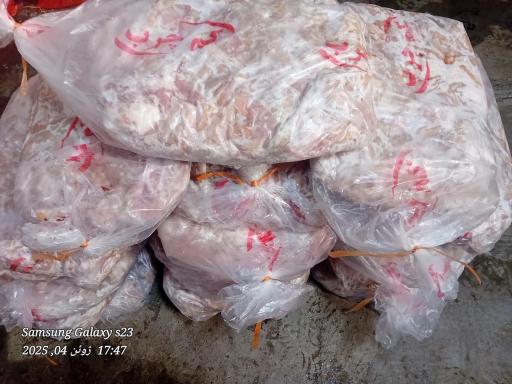 عکس پخش آلایشات گاوی و گوسفندی مهدی پور