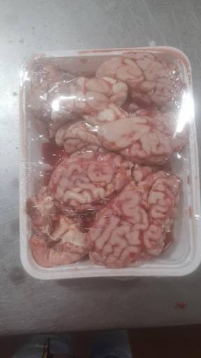 عکس پخش آلایشات گاوی و گوسفندی مهدی پور