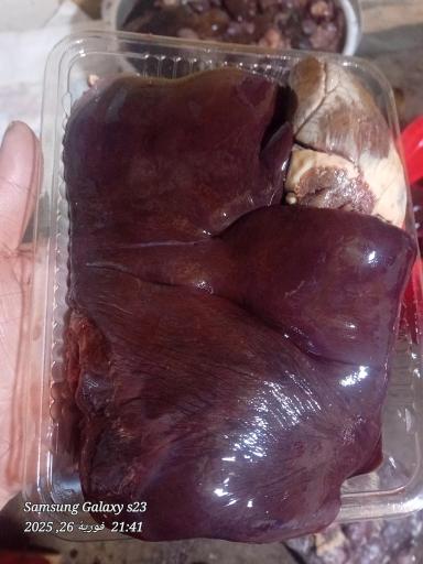 عکس پخش آلایشات گاوی و گوسفندی مهدی پور