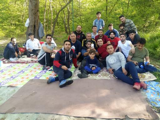 عکس پارک جنگلی دلند