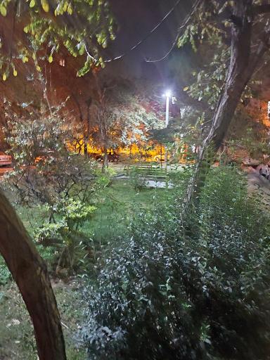 عکس میدان نود و یکم