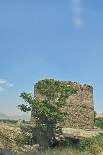 عکس برج کبوتر