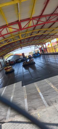 عکس بوستان سنجاقک