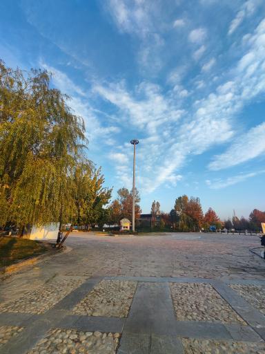 عکس بوستان سنجاقک