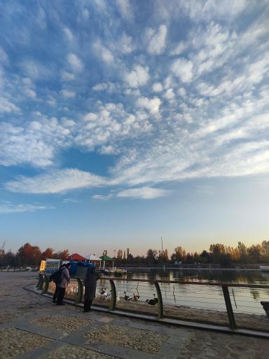 عکس بوستان سنجاقک