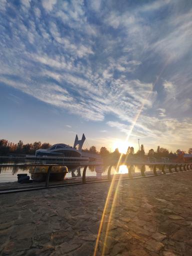 عکس بوستان سنجاقک