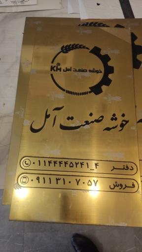 عکس چاپ ماندانا عابدینی