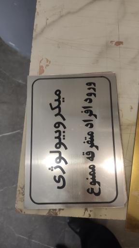 عکس چاپ ماندانا عابدینی