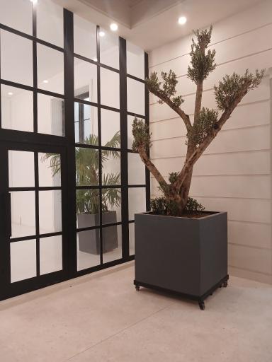 عکس آتلیه عکاسی عمارت آلفا