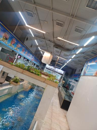 عکس بازار آبزیان و پروتئین شهرما (برادران صالحی)