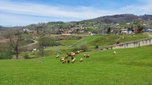 عکس دهکده توریستی برنجستانک سواد کوه