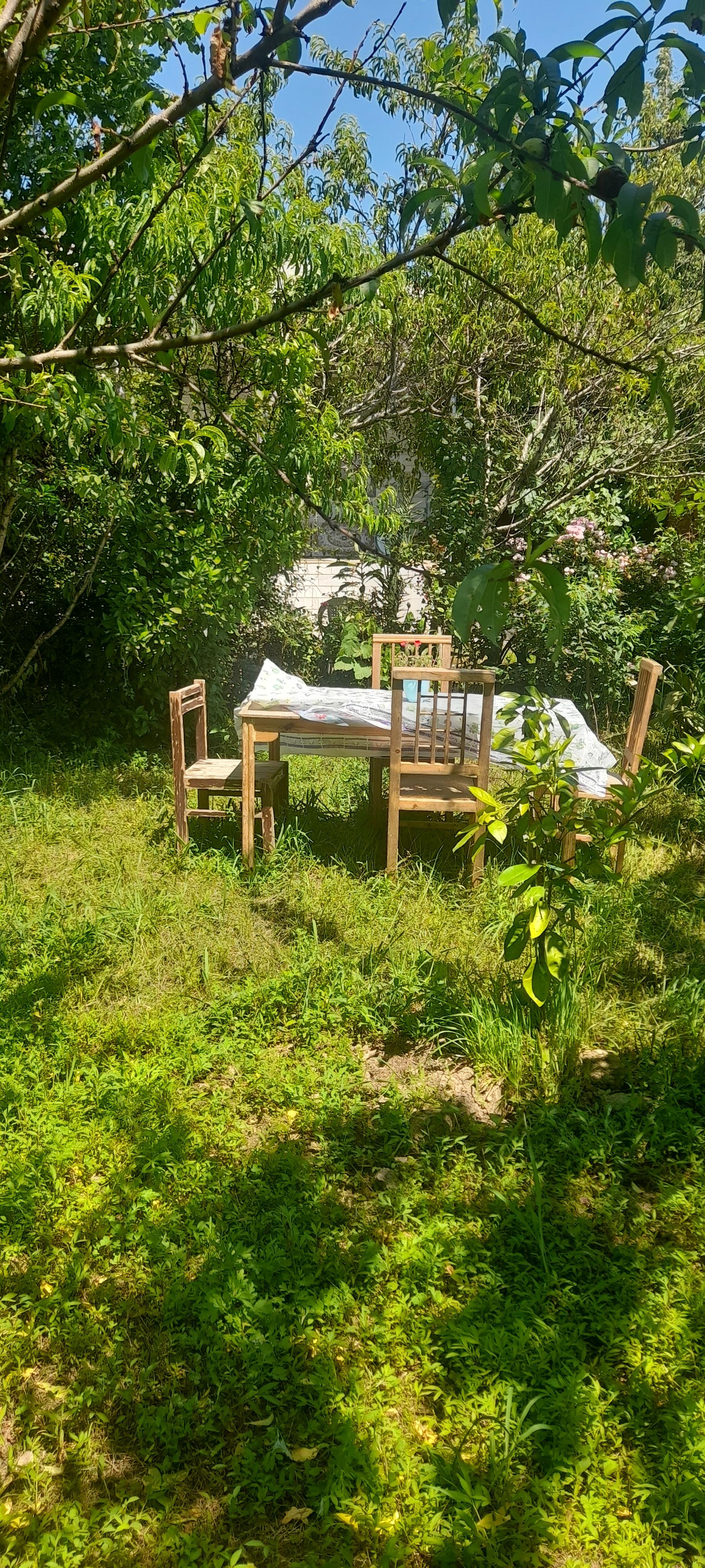 عکس ویلای اجاره ای قلی پور