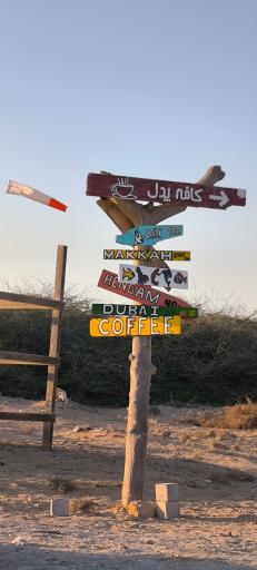 عکس کافه پدل 