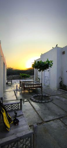 عکس کافه پدل 