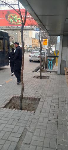 عکس  دانشجو 8