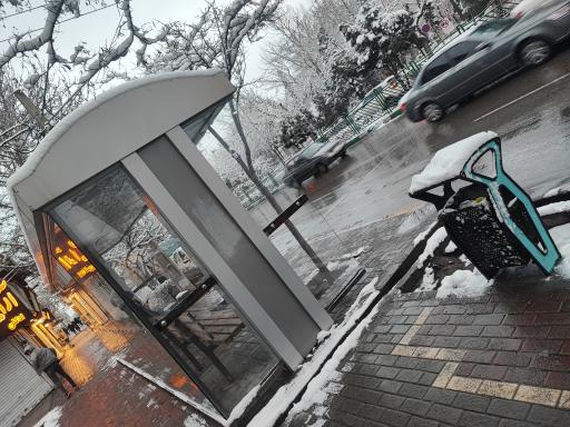 عکس  دانشجو 8