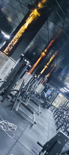 عکس باشگاه بدنسازی توکان 