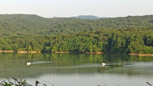 عکس دهکده توریستی برنجستانک سواد کوه