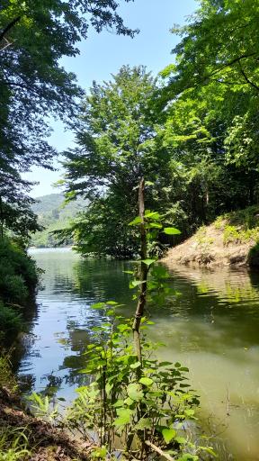 عکس دهکده توریستی برنجستانک سواد کوه