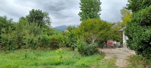 عکس ویلای اجاره ای قلی پور