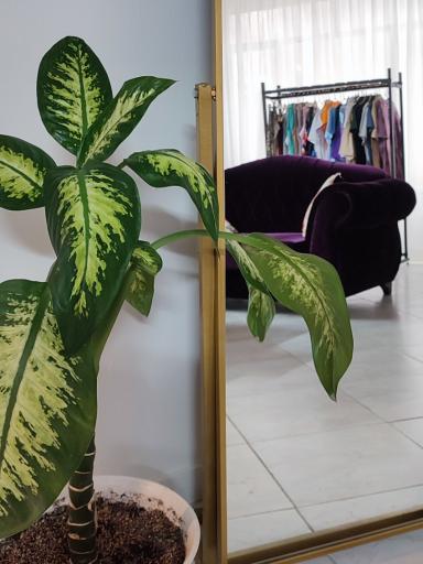 عکس مزون ناز