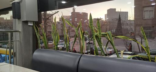 عکس رستوران فودلند