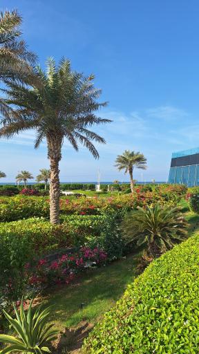 عکس هتل آریا باستان کیش