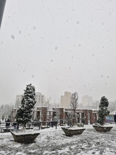 عکس بوستان صالحیه