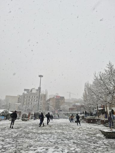 عکس بوستان صالحیه