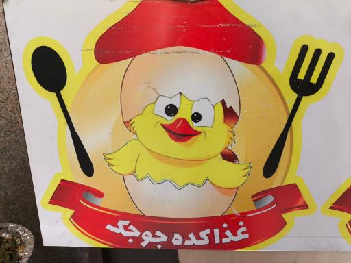 عکس تهیه غذای جوجگ