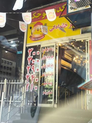 عکس تهیه غذای جوجگ