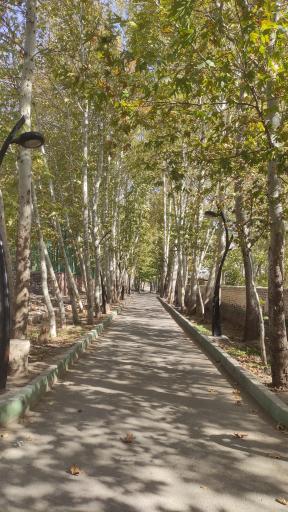 عکس پارک باغ چنار