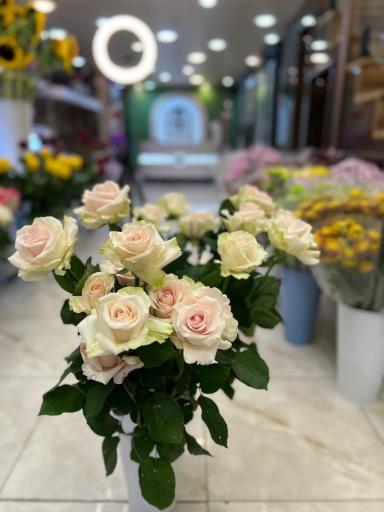 عکس فروشگاه گل رومنس