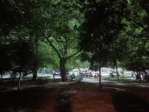 عکس پارک باغ چنار