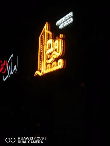 عکس زوج معمار