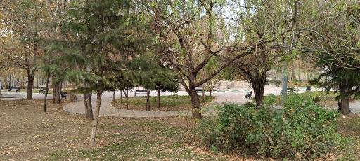 عکس پارک باغ چنار