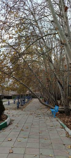 عکس پارک باغ چنار