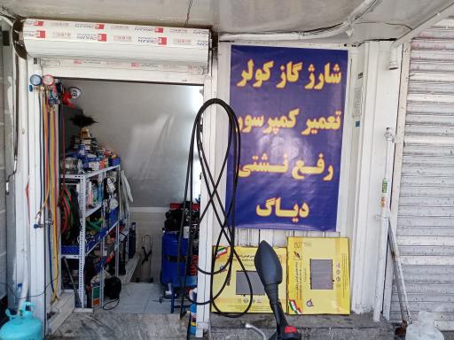 عکس اتو چکاپ امین 