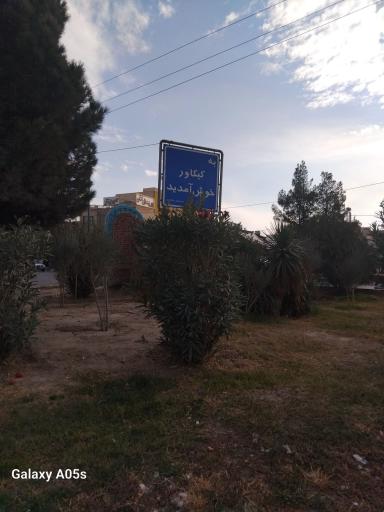 عکس کیکاور