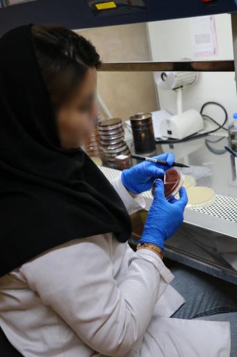 عکس آزمایشگاه تشخیص طبی شاهد اندیشه (ظفر)