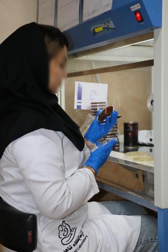 عکس آزمایشگاه تشخیص طبی شاهد اندیشه (ظفر)