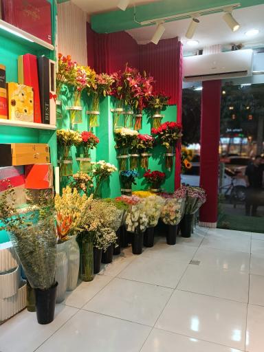 عکس گل بلومیا