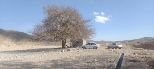 عکس چشمه چنارسوخته