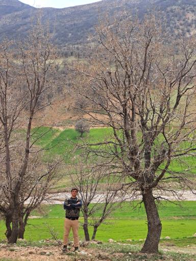 عکس مال خلیفه