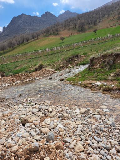 عکس مال خلیفه