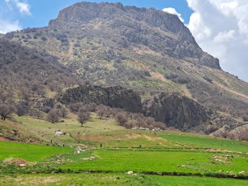 عکس مال خلیفه