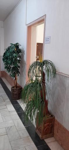 عکس بخشداری دستجرد