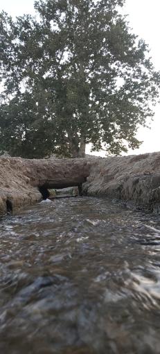 عکس چشمه چنارسوخته
